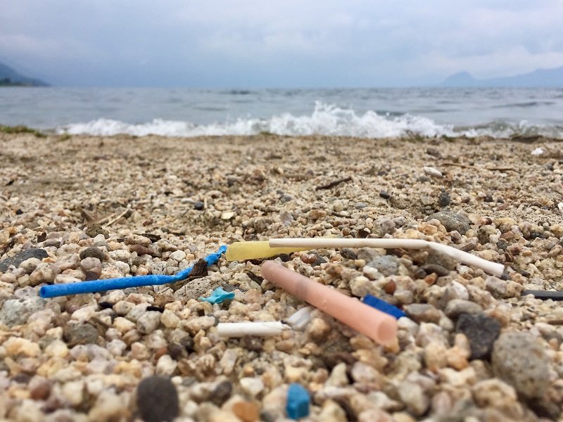 Build a Plastics Upcycling Center in Guatemala