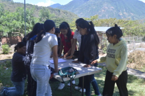 Groups working on the solution