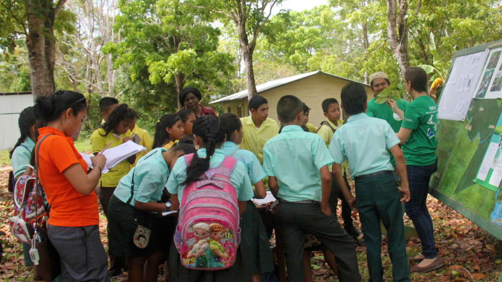 Help 200 children of Toledo attend Bioblitz