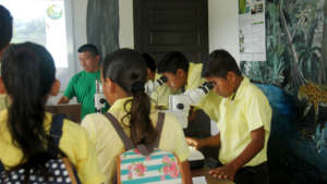 Children learning to use a microscope
