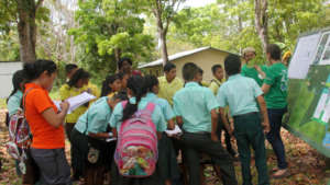 Botany lesson on native trees