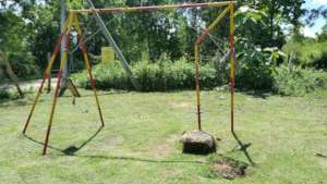 An elephant removed the base of this swing.