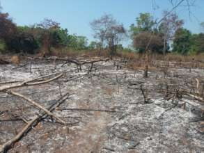 Illegal seizure and burning, Dahaiyagala Sanctuary