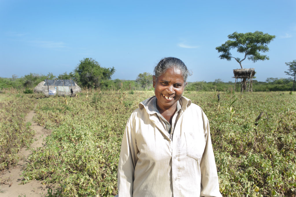 Investing in Communities to Conserve Elephants