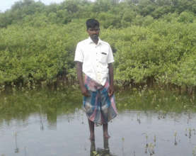 A fisherman in plantation and conservation