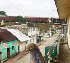 view from the migrant centre