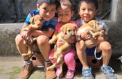 Funding The Integral Heart Family School in 2019