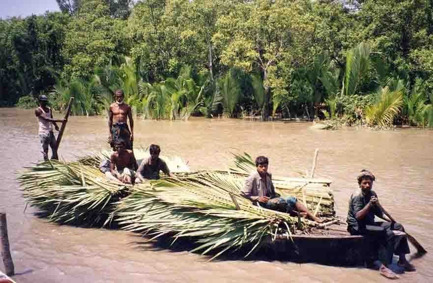 Help Cyclone-affected Coastal Communities