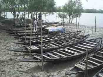 Help Cyclone-affected Coastal Communities