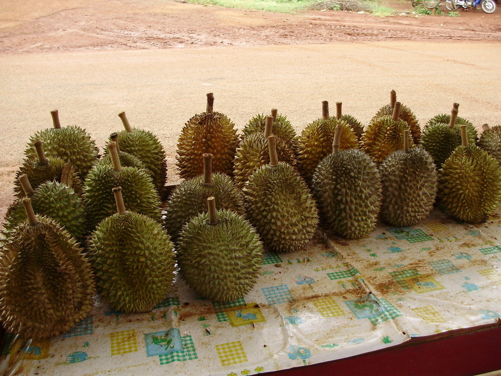 End child malnutrition in Laos