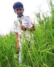 Ajay