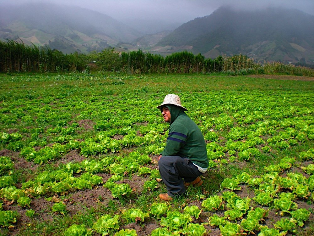 Restoring Forests and Nourishing Communities