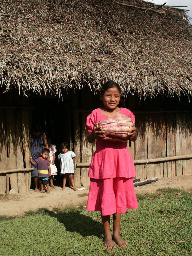 Restoring Forests and Nourishing Communities