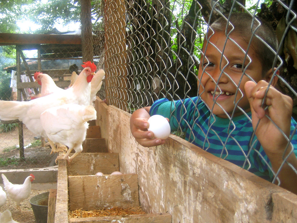 Restoring Forests and Nourishing Communities
