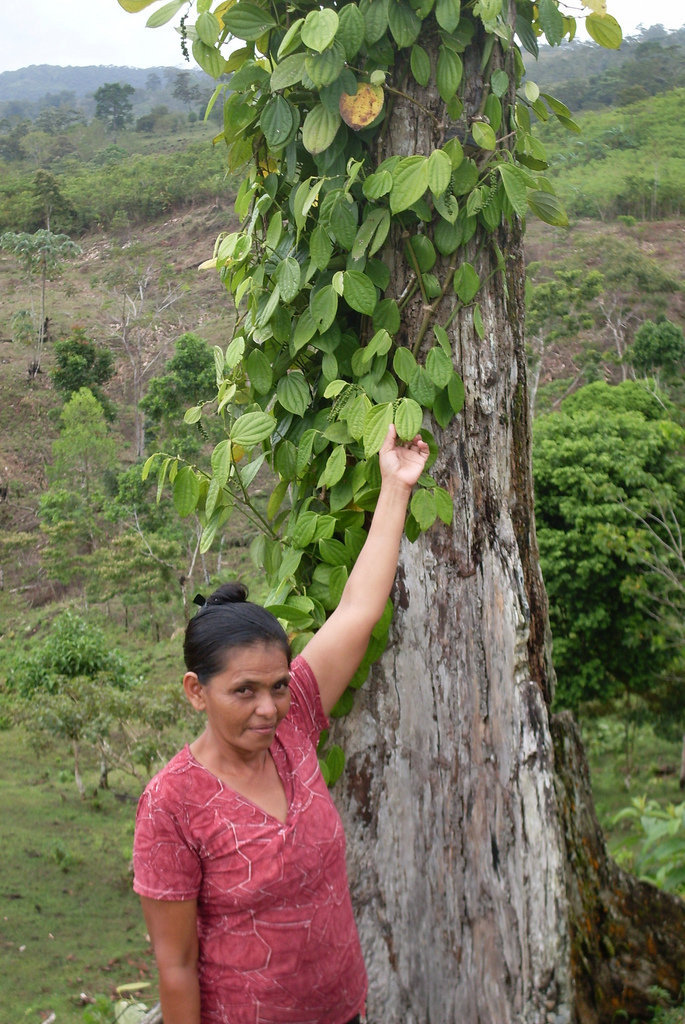Restoring Forests and Nourishing Communities
