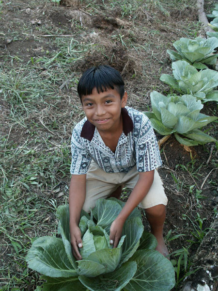 Restoring Forests and Nourishing Communities