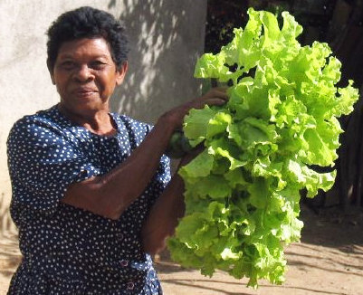 Restoring Forests and Nourishing Communities