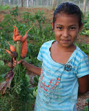Girl with Carrots