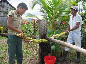 Making Fresh Sugar Cane Juice