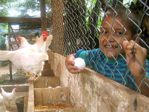 Boy with Egg and Chicken Coop