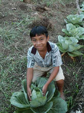 Boy with Cabbage