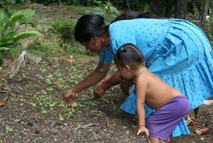 Establishing Family Garden