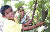 Restoring Forests and Nourishing Communities