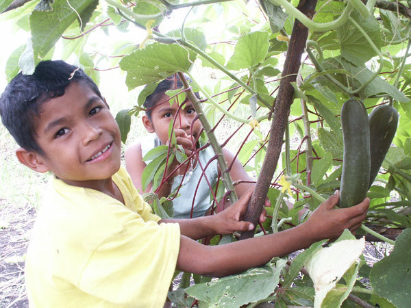 Restoring Forests and Nourishing Communities