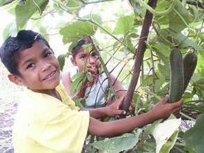 Restoring Forests and Nourishing Communities