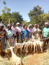 Goats Delivered to Makindu Guardians