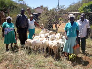 Goats Bring Milk to Families