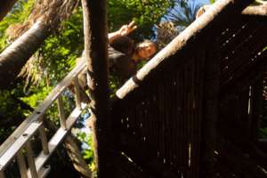 Diego Carhuaricra, Permaculture Center Coordinator