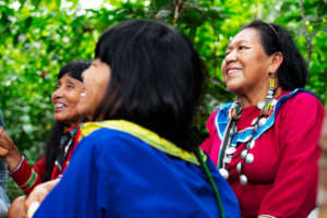 Ayahuasca is a Shipibo ancestral medicine.