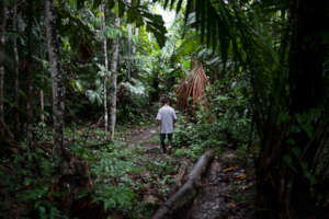 A local biologist walking in the permaculture area