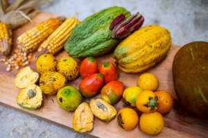 Some of the fruits we harvested in our chacra