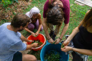 Trainees preparing a floral bath