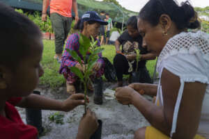 Learning grafting techniques