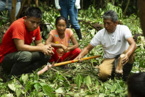 Dynamic agroforestry course