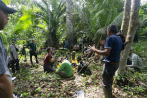 Learning the importance of prunning in agroforestr