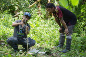 Teaching grafting techniques