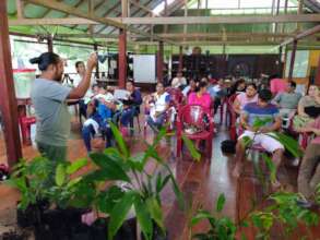 Training locals in agroforestry systems