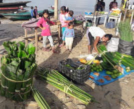 Street market with products from our farms.