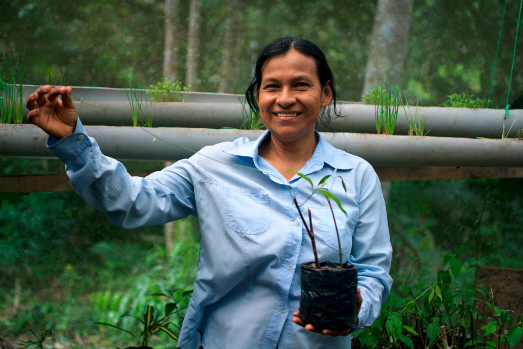 Ayni, Regenerative Food Forest in the Amazon