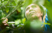 Ayni, Regenerative Food Forest in the Amazon
