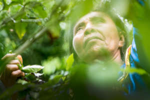 Ayni, Regenerative Food Forest in the Amazon