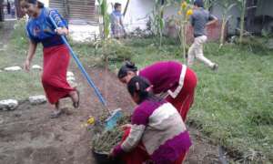 Preparing for the Medicinal Plant Garden