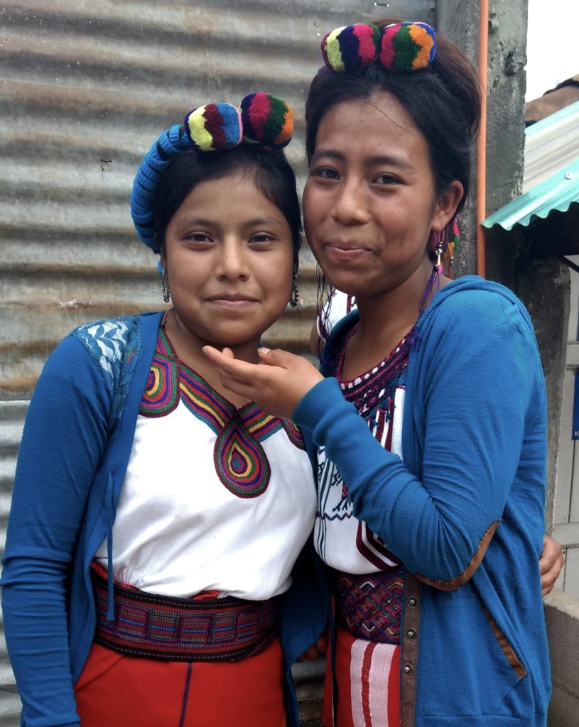 Medicinal Plants for Managing Menstrual Health