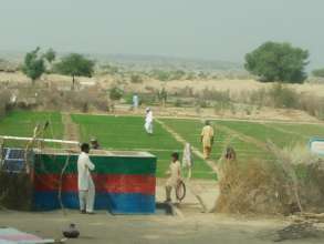 one of the green farms