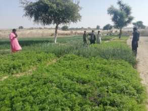 From deserts to green farms