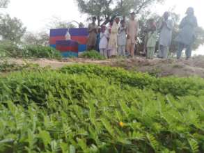 Developed Lush Green Field